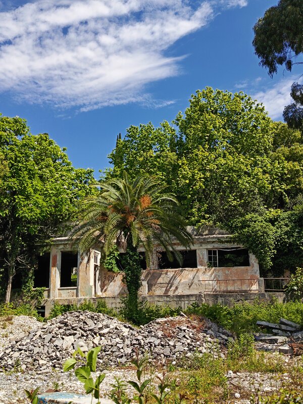 Был дом - Татьяна Пальчикова