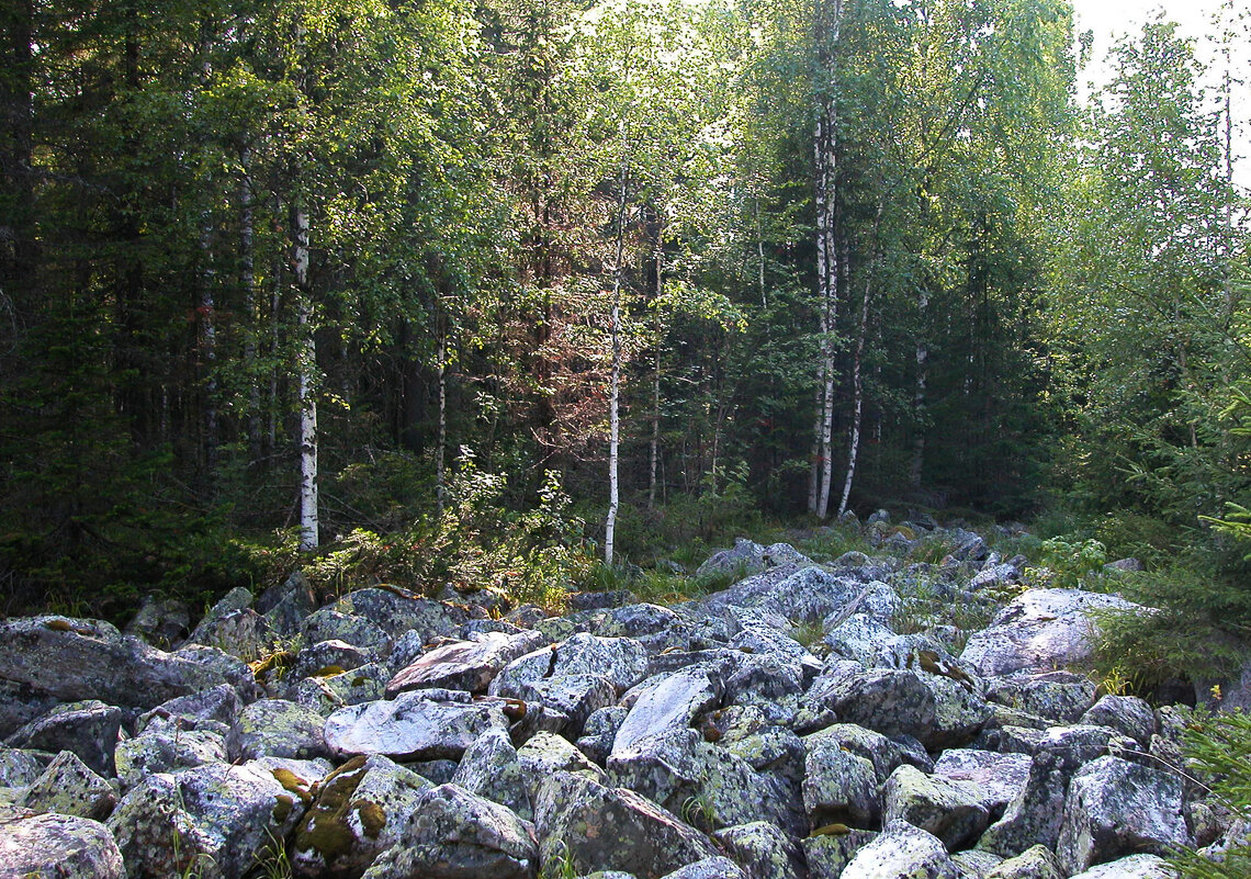 Курумник - каменная река - Наталья Лунева 