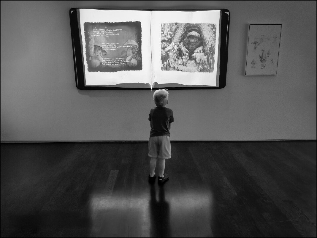 Книга - **** vedin