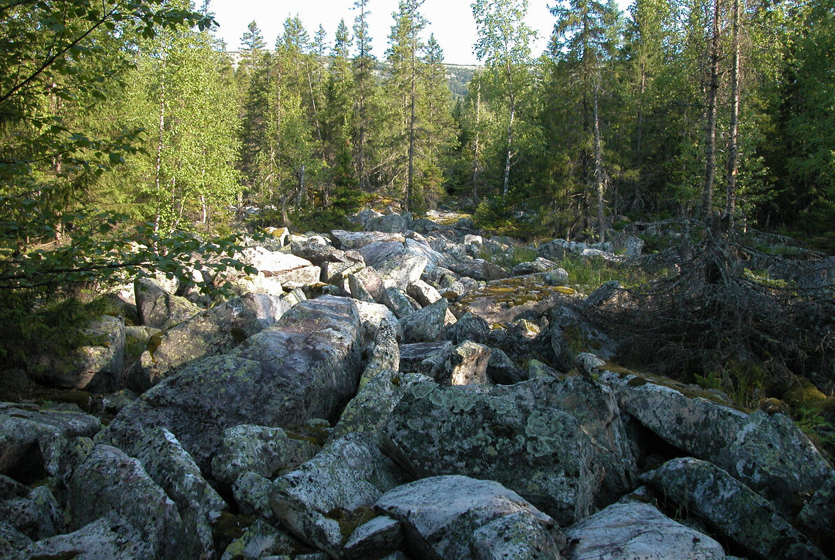 Курумник - Наталья Лунева Курумник - Наталья Лунева