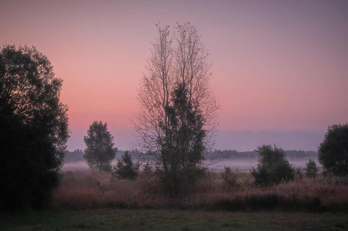 **** - Елизавета .