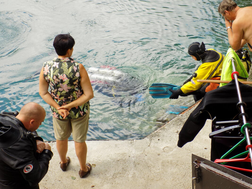 Аквалангисты на Голубом озере... - Константин Штарк