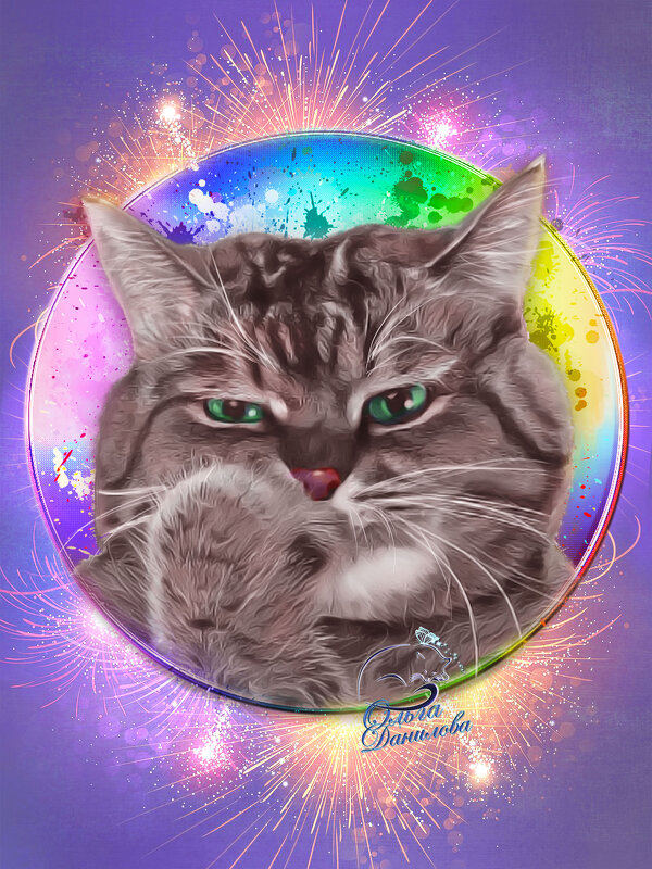 Кисуля и салют. - Ольга Данилова