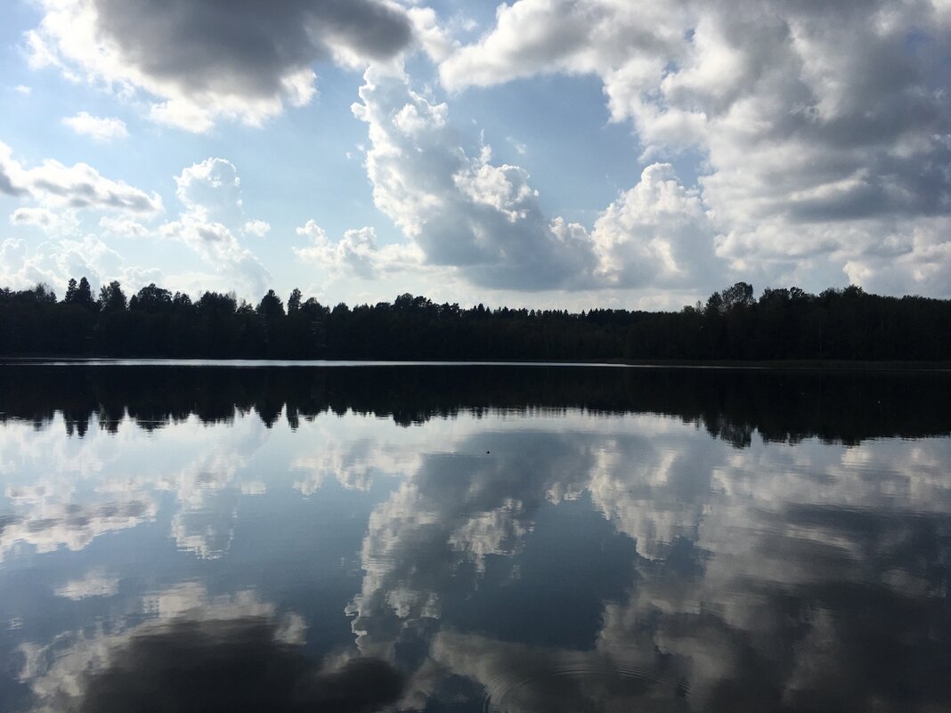 Природный авангард... - Владимир Павлов