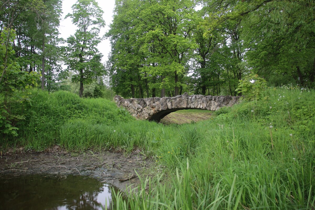 Стрельна. Орловский парк - Наталья Герасимова