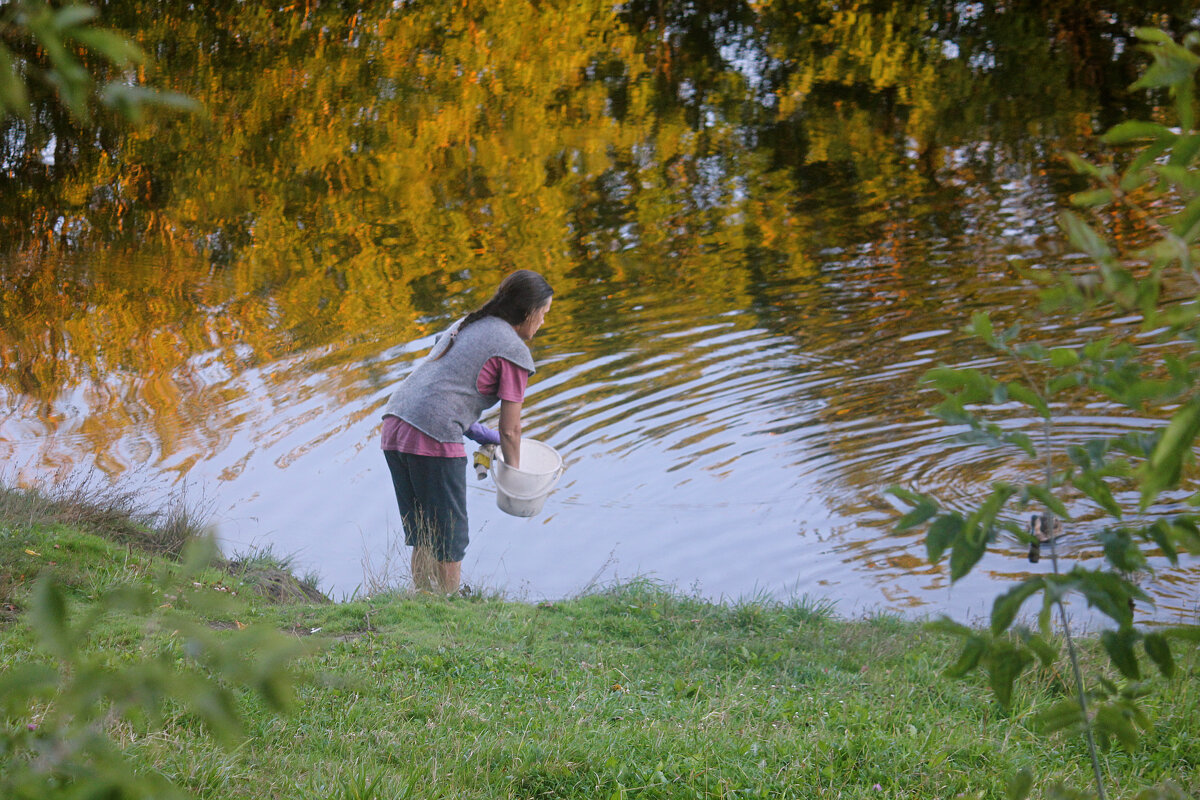 Кормим уток - Сергей Кочнев
