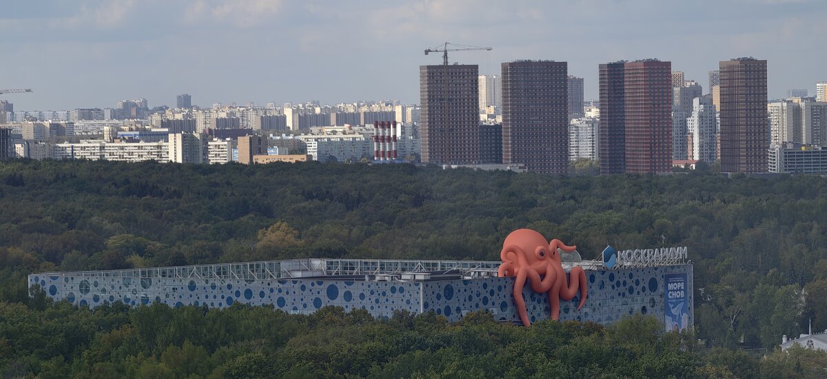 Москвариум - <<< Наташа >>>