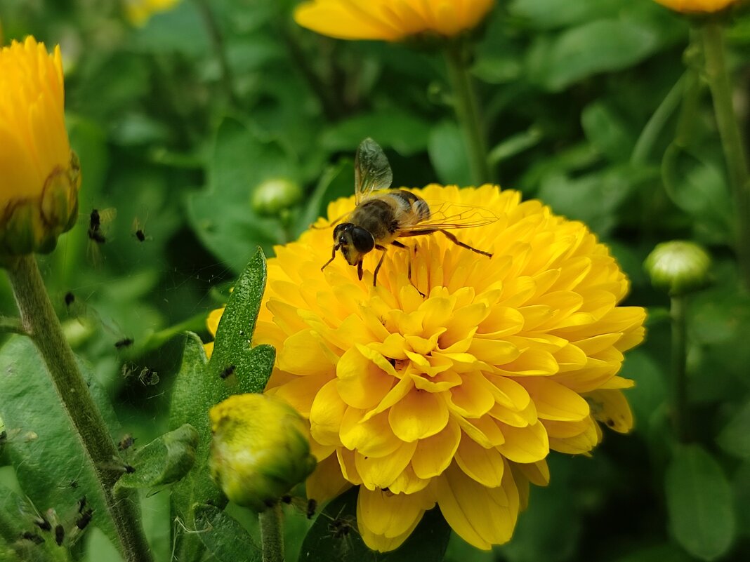 Тёплый день в сентябре - Валентина Богатко 