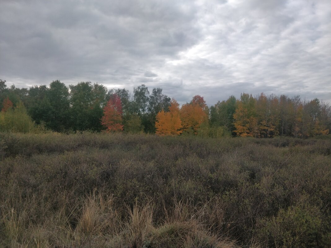 Сентябрьские акварели. - Андрей Хлопонин