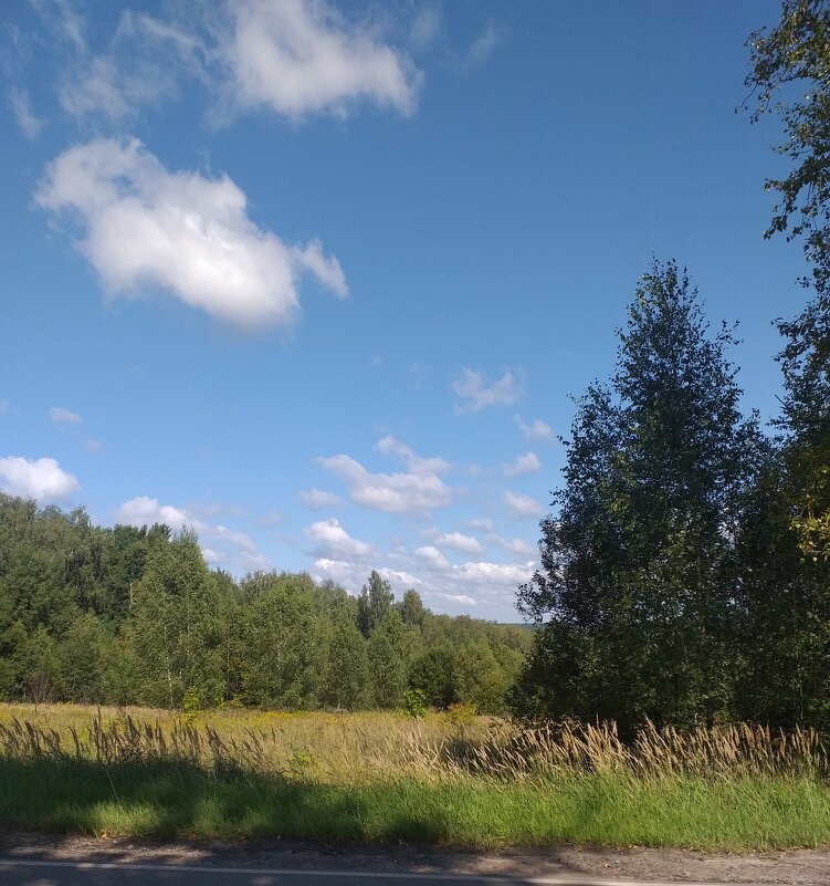 тихий день - Галина Флора