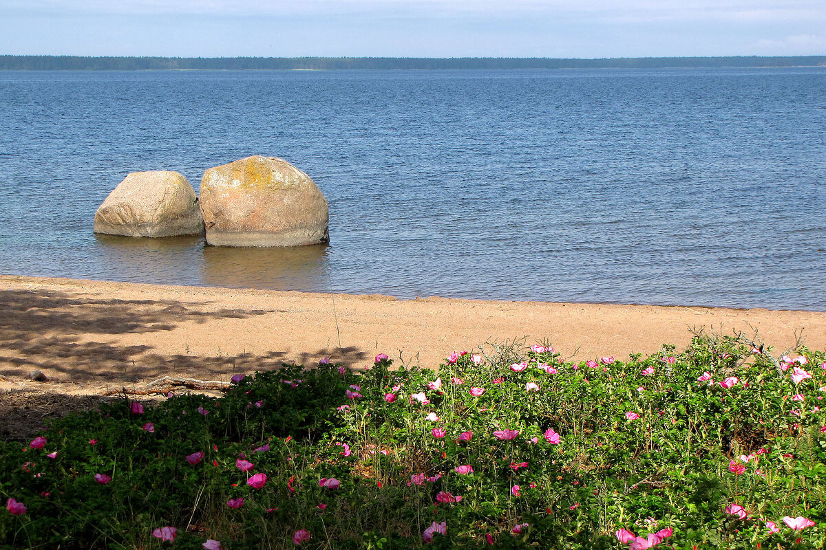 Финский залив - Александр Ильчевский 