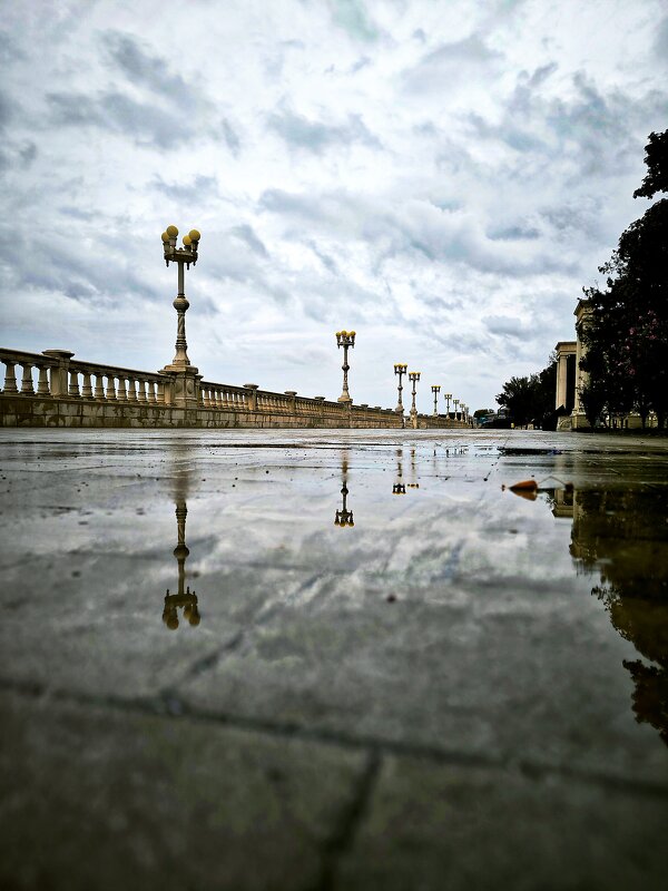 ** - Oksana Verkhoglyad