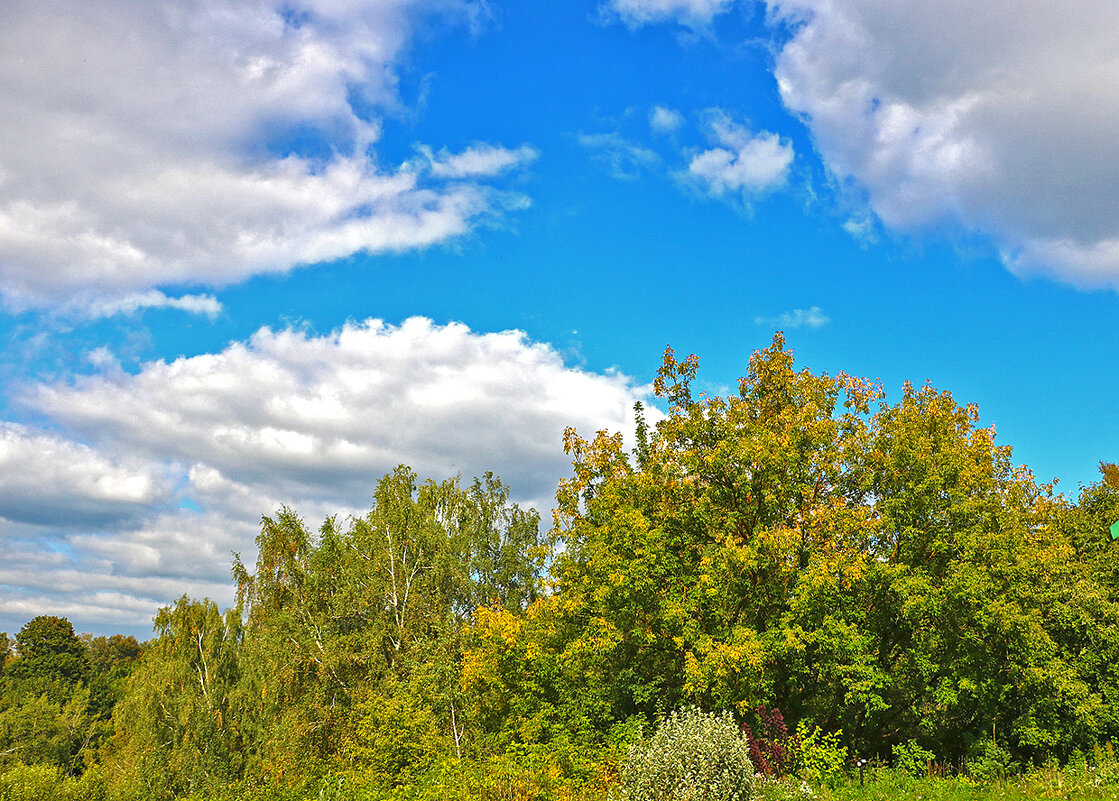 Осенний пейзаж (начало сентября) - Светлана 