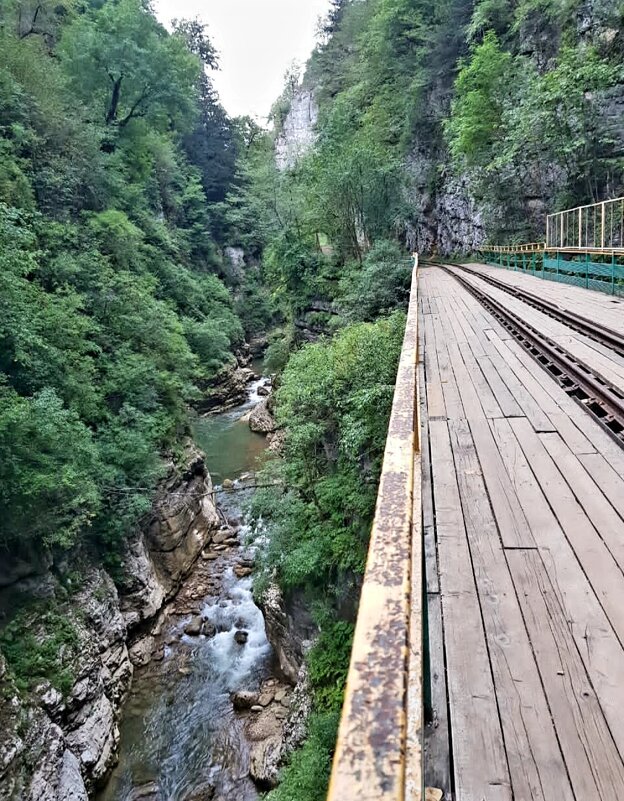 ГУАМСКОЕ УЩЕЛЬЕ - Tata Wolf