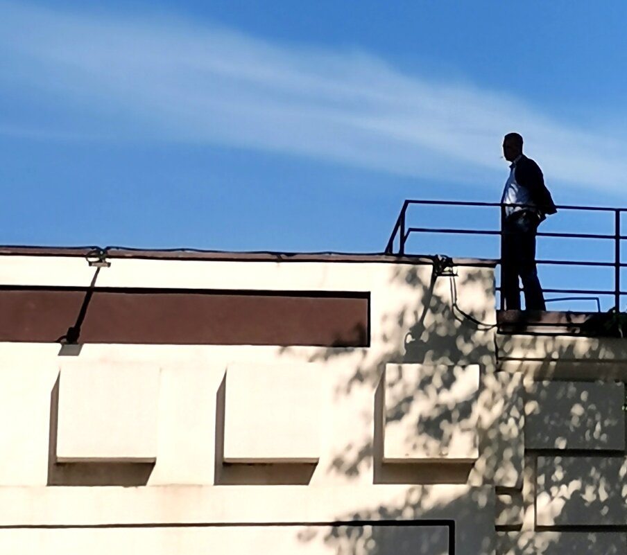 Силуэт. - Любимова Ольга 