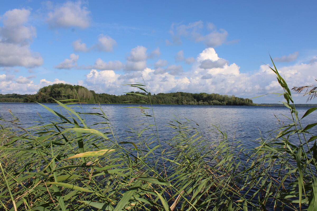 на озере - Ирина Лесиканич