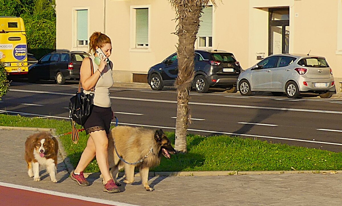 Прогулка - Владимир Манкер