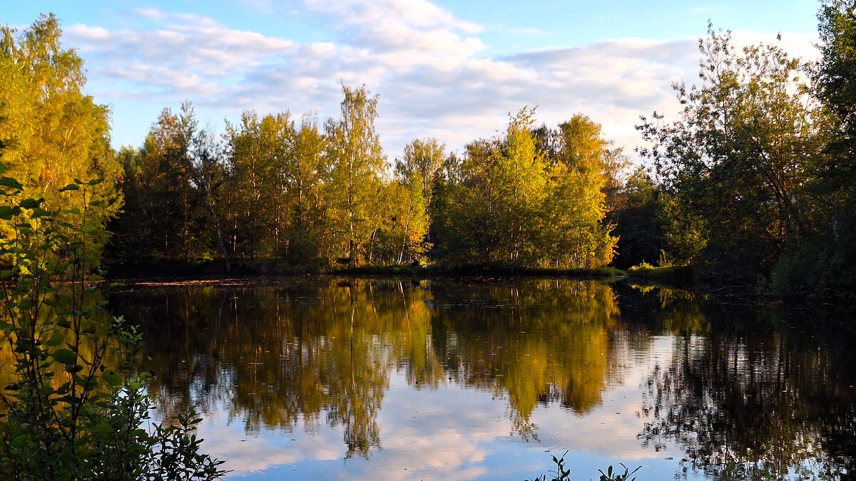 Софрино - Наталья 