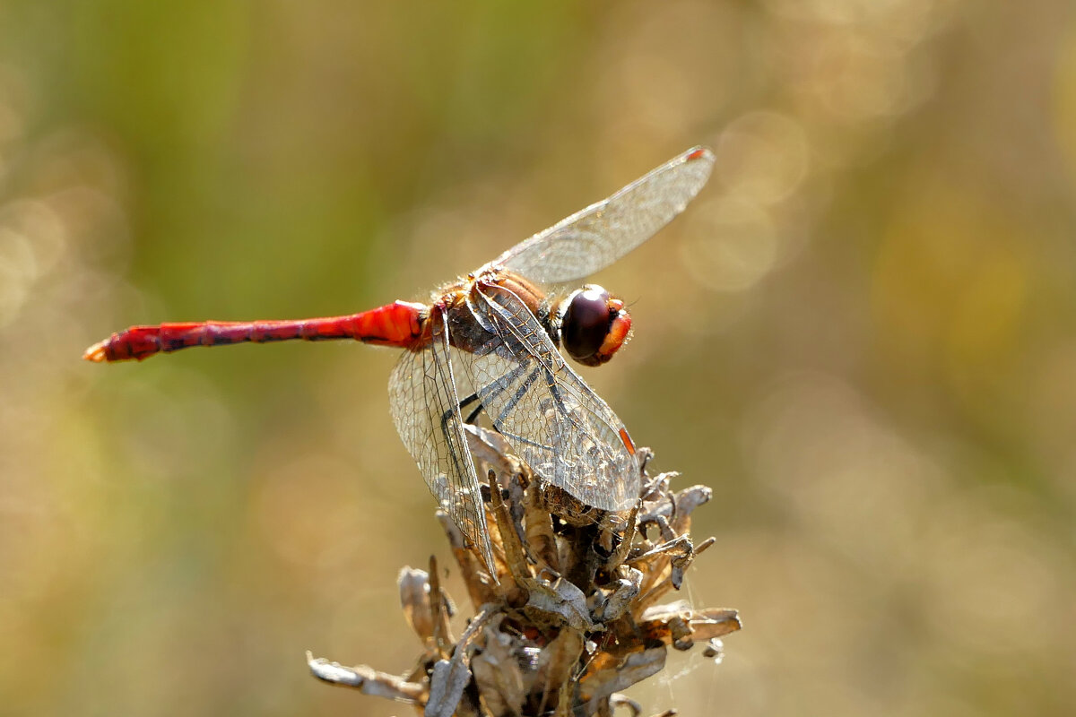 из вчерашней съёмки 3 - Александр Прокудин из вчерашней съёмки 3 - Александр Прокудин