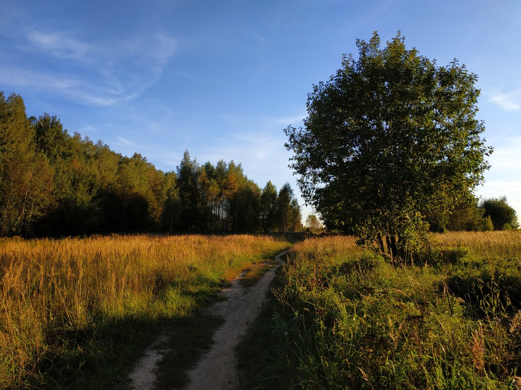 Бабье лето в ближнем Подмосковье - Андрей Лукьянов Бабье лето в ближнем Подмосковье - Андрей Лукьянов