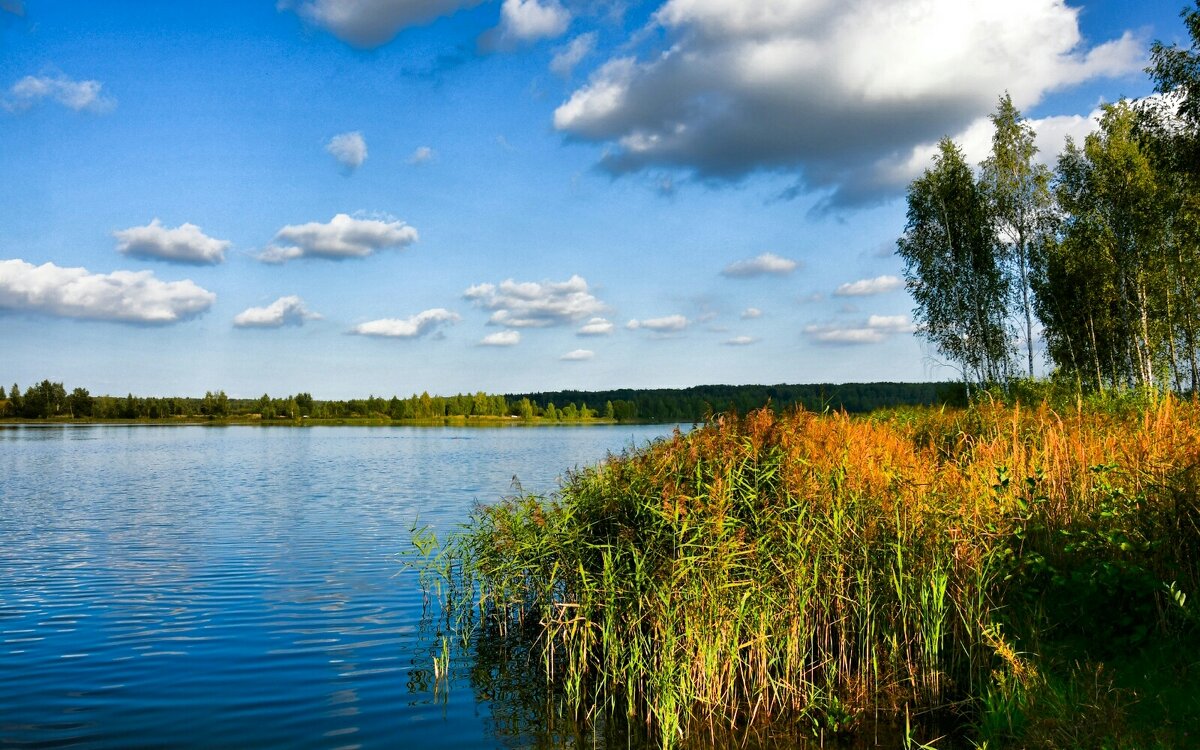 Про осень (репортаж из поездок по области) - Милешкин Владимир Алексеевич 