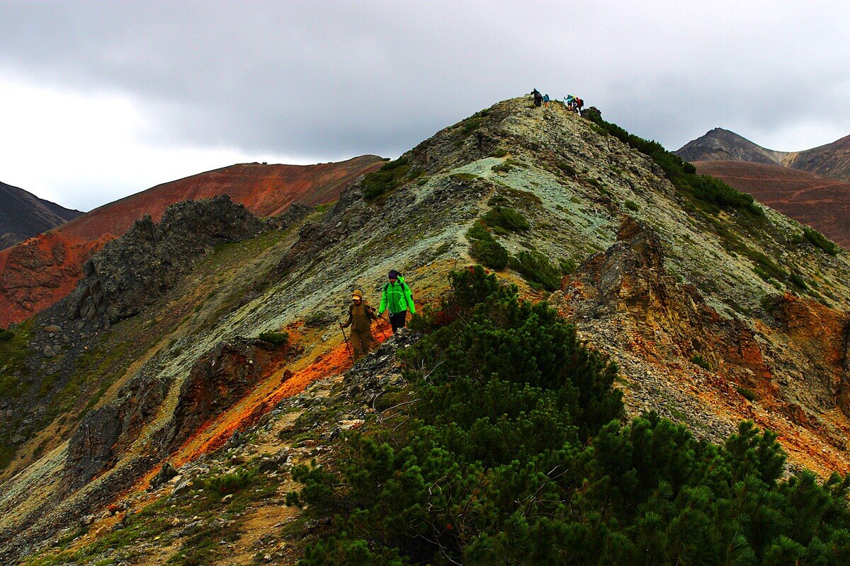 Туристы - Александр Чашин Туристы - Александр Чашин