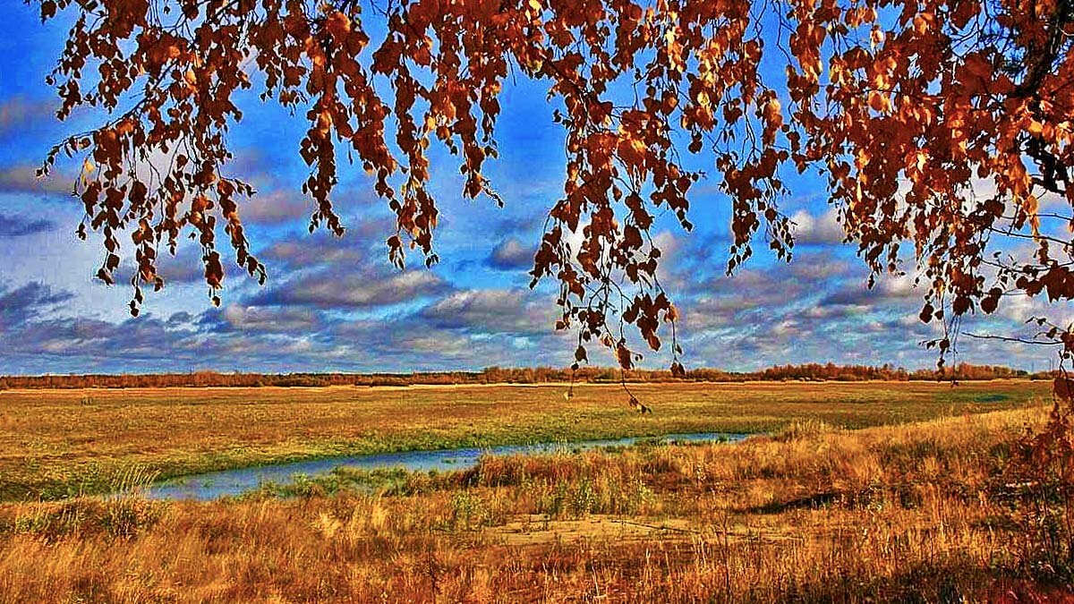 Бабье лето в пойме Сырого Агана! - Владимир 