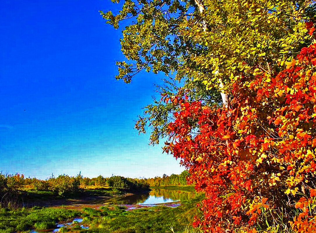 Калина красная над протокой!.. - Владимир 