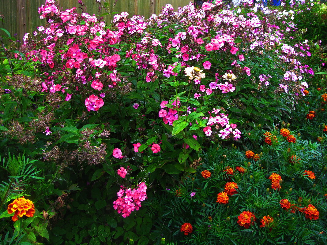 В саду - Людмила Смородинская