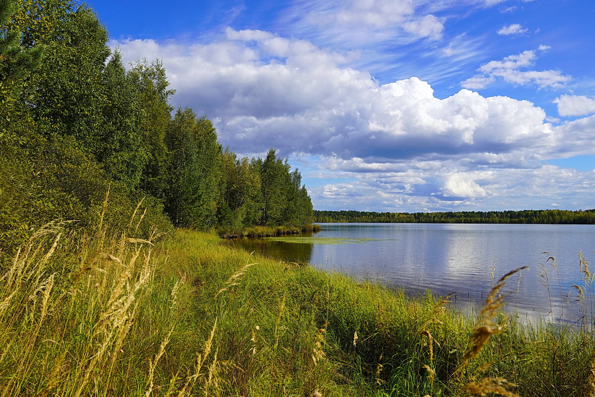 На таежном озере - Галина Кан