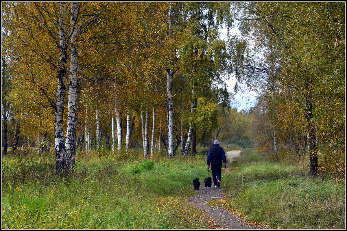 Осенний променад ... - Aleksandr Gal