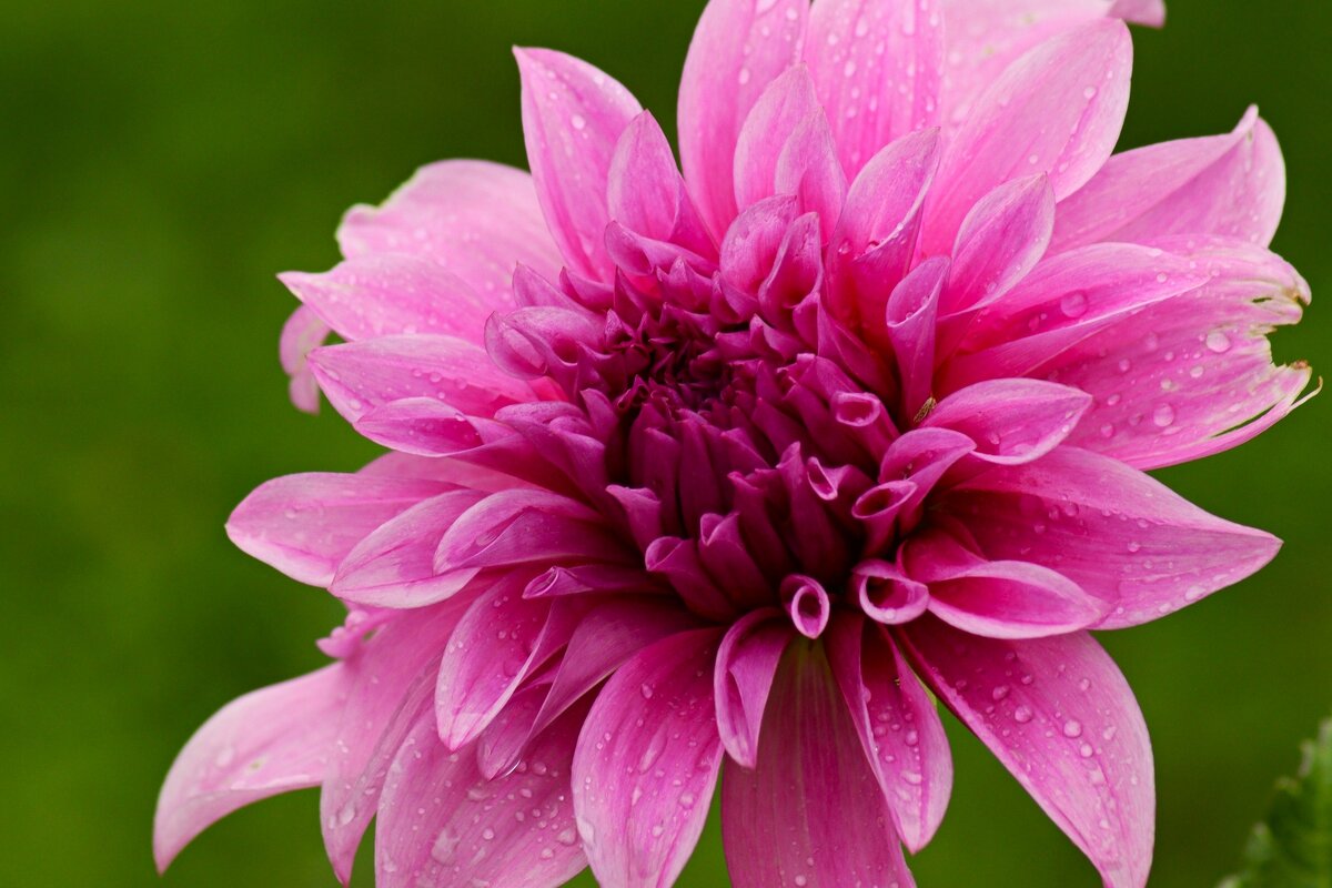 Доброе утро - Юрий. Шмаков Доброе утро - Юрий. Шмаков