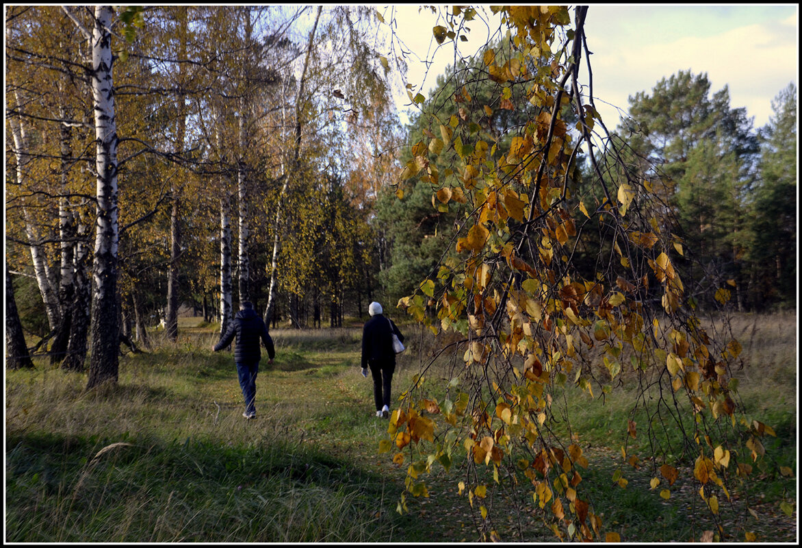 ....вот и осень пришла.... - Aleksandr Gal