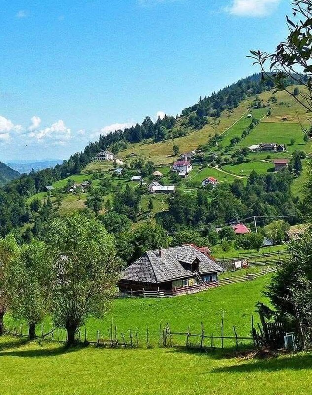 ранкові Карпати - Степан Карачко