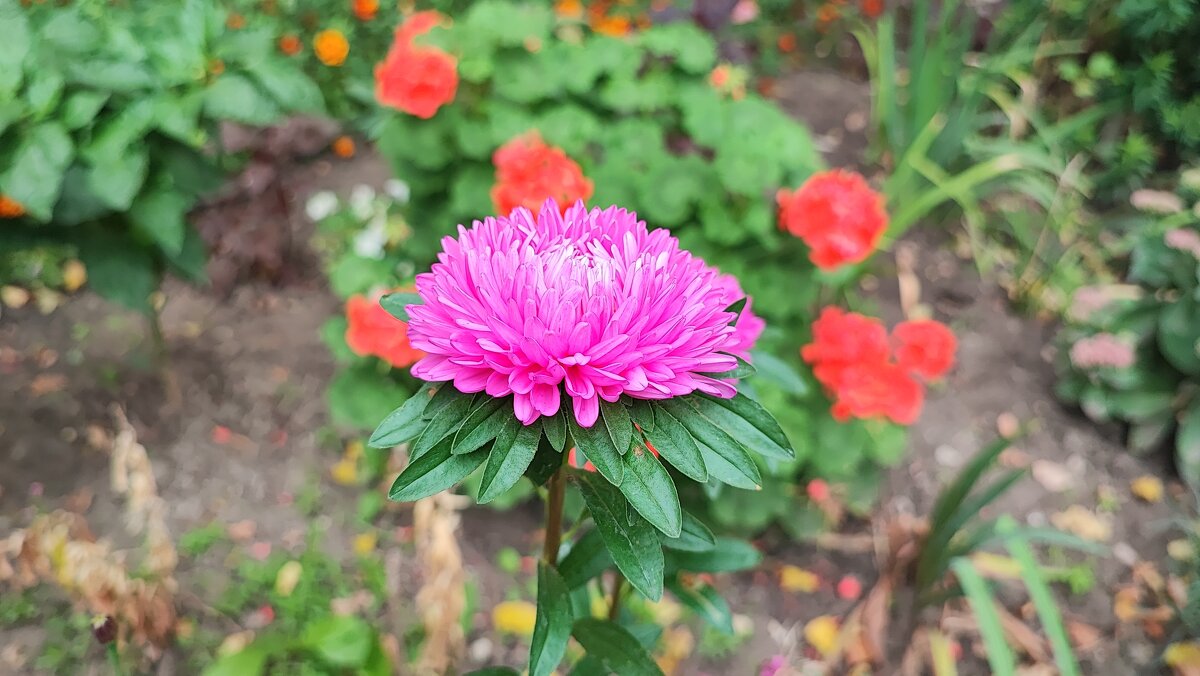 ,,, - Сергей Тимоновский ,,, - Сергей Тимоновский