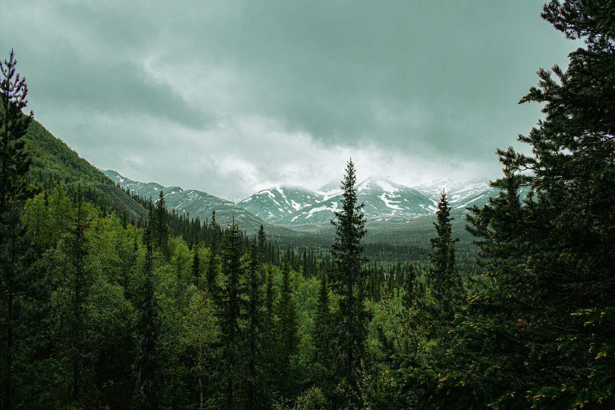 Кировск'25 - Лана Пипякина Кировск'25 - Лана Пипякина