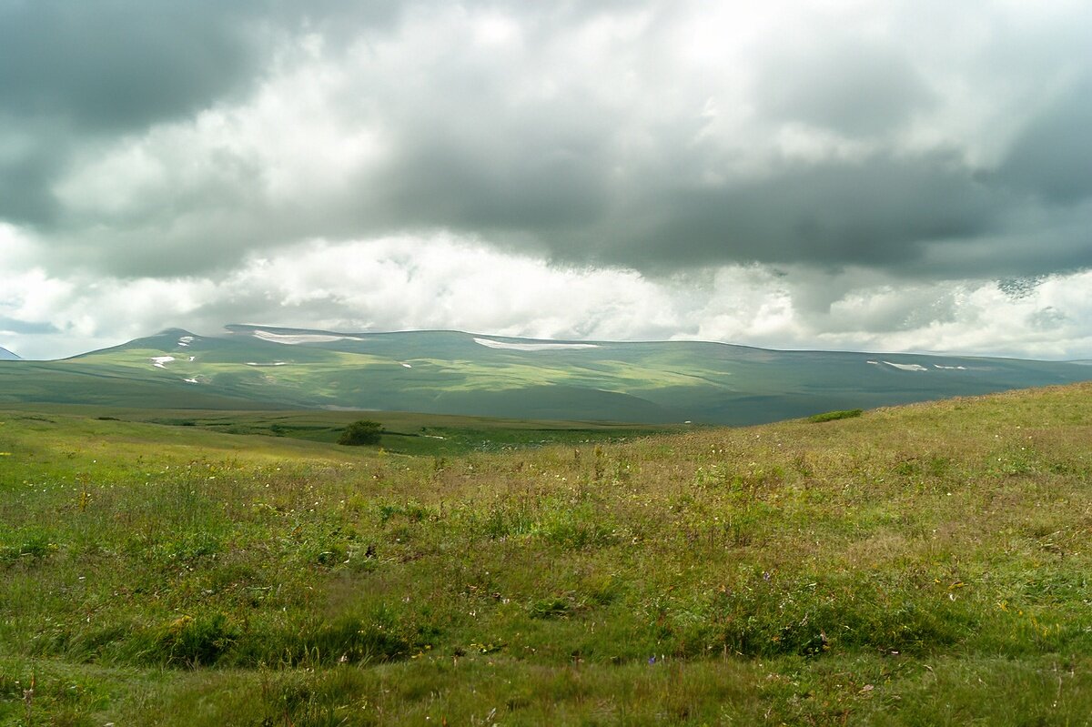 Плато Лаго-Наки, июль - Игорь Сикорский