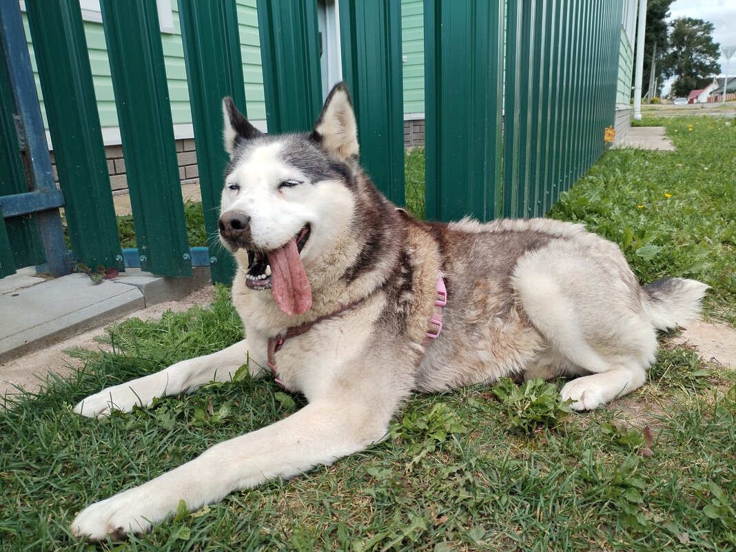 Подружка - Юлия 