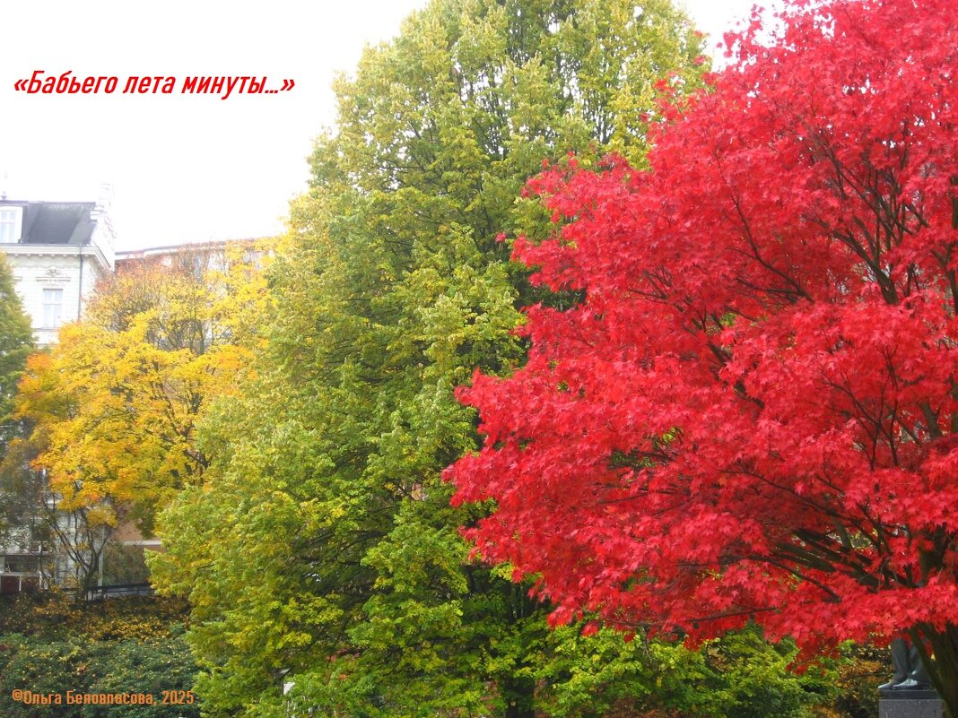 Осень в Карловых Варах - Ольга Лебедева (Беловласова)