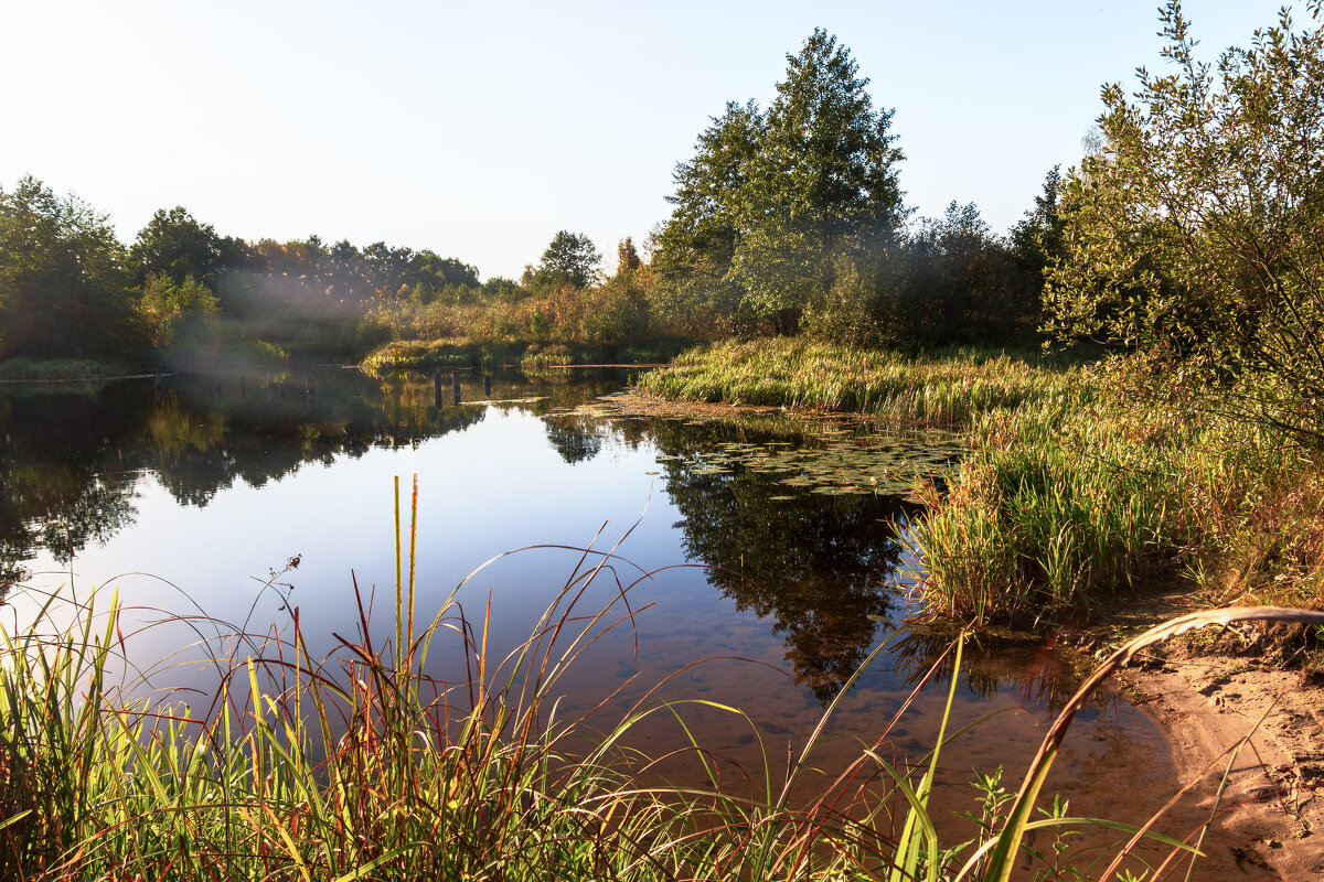 *** - Игорь Чичиль