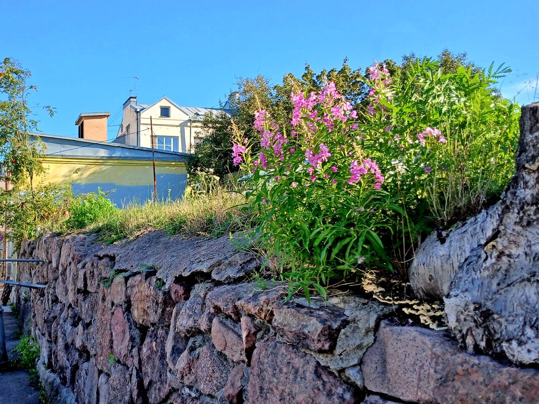 Из прогулок по улочкам Выборга. - Лия ☼