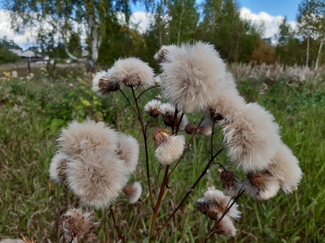 Вот и осень - Галина Минчук