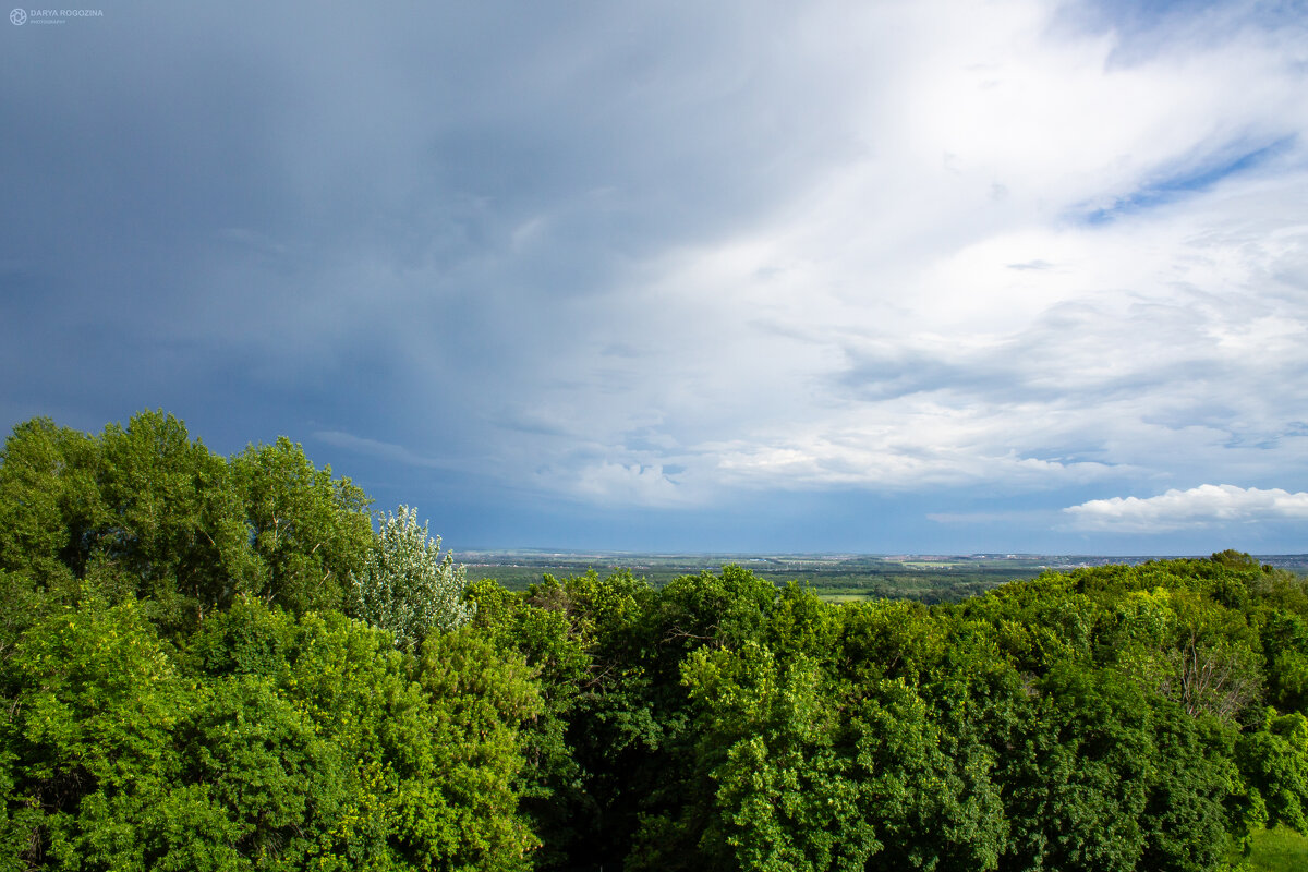 За несколько минут перед дождем - Дарья Рогозина