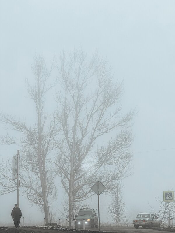 Туман - Яна Горбунова