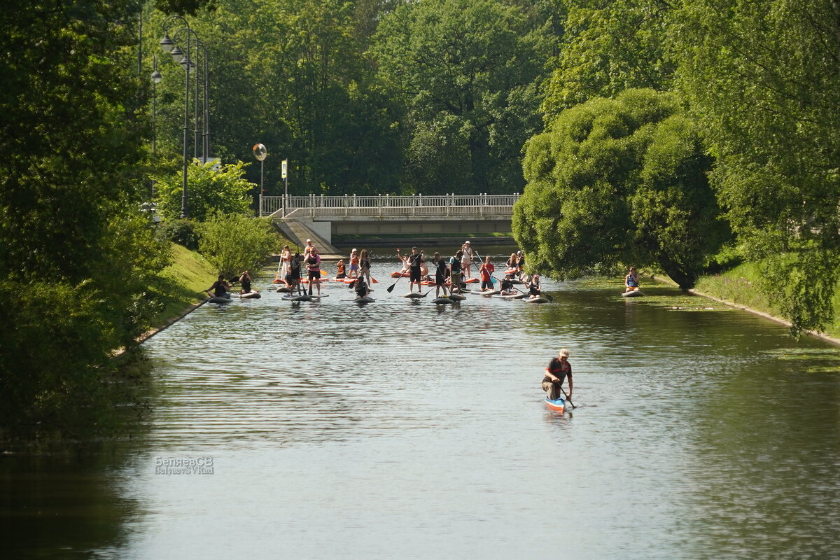 Заплыв - Сергей Беляев