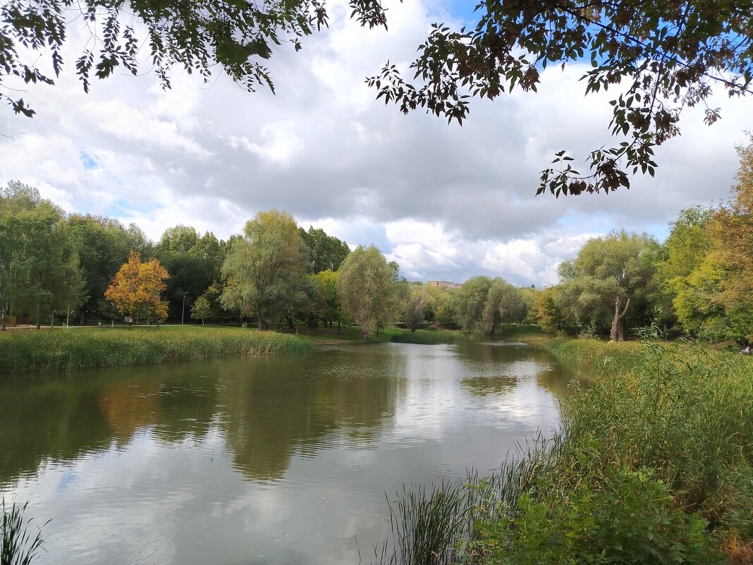 Парк Воронежские озера - Надежда 