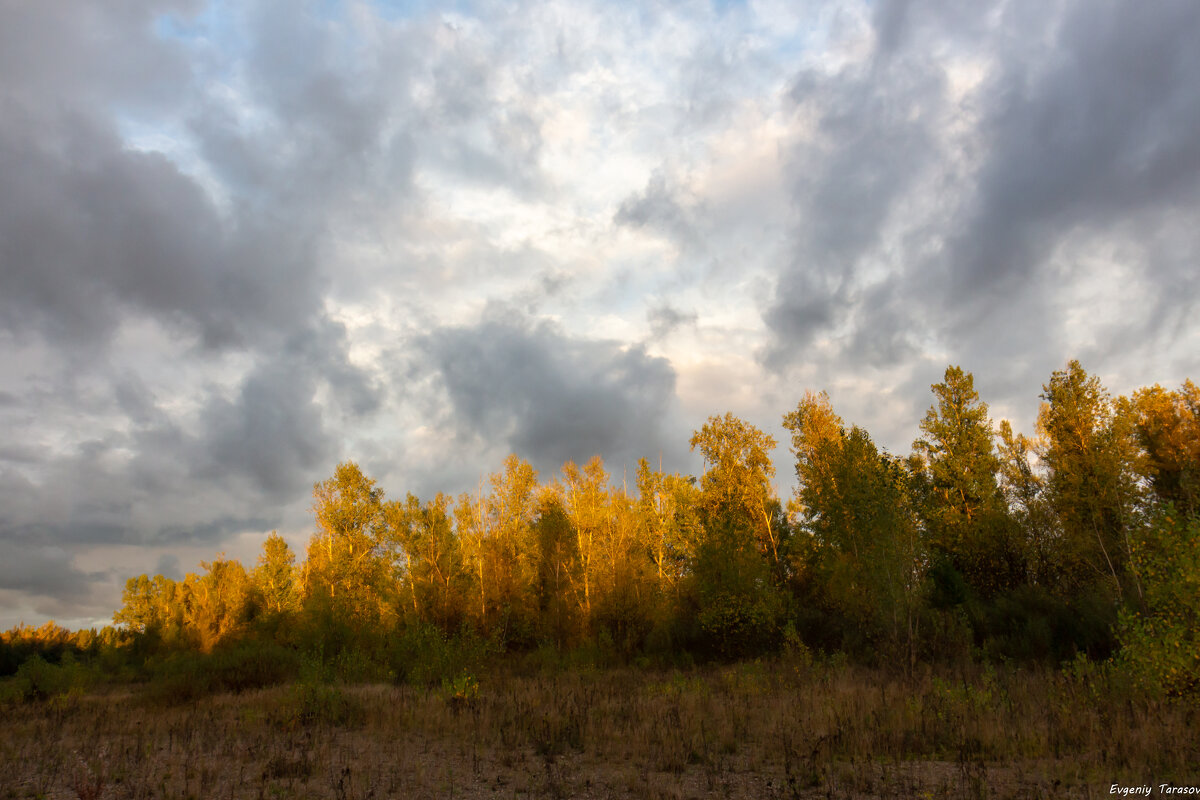 Небо сентября - Евгений Тарасов 