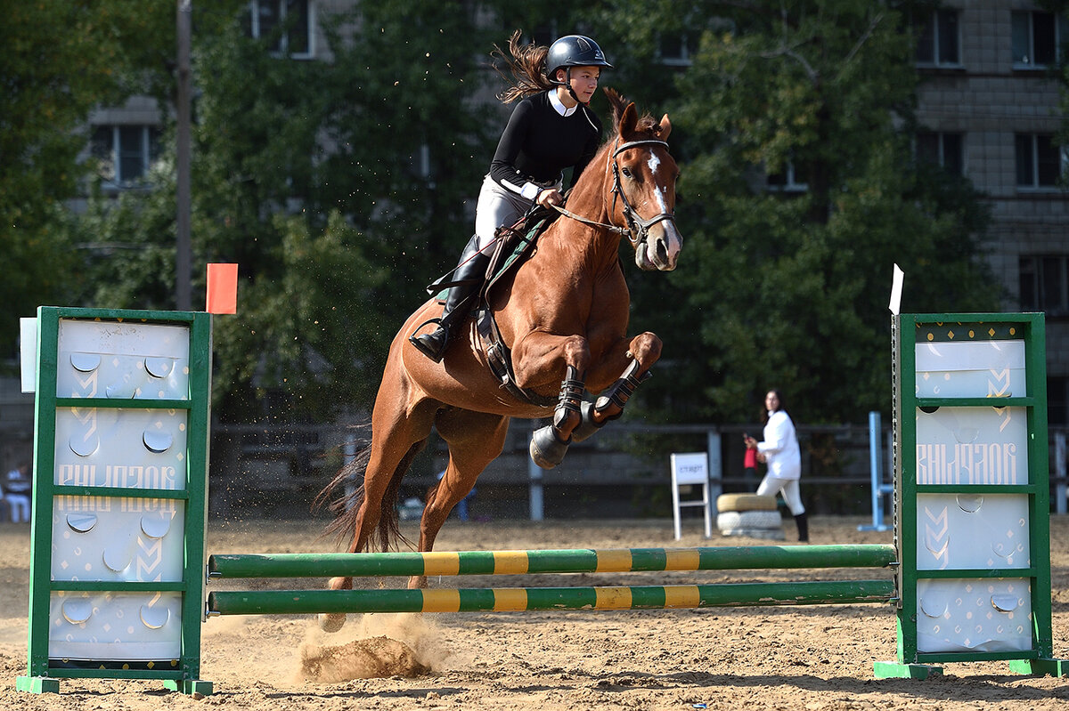 Конкур. Волгоград. Клуб "Добрыня" - Александр Гриднев