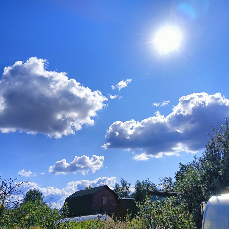встреча - Владимир 