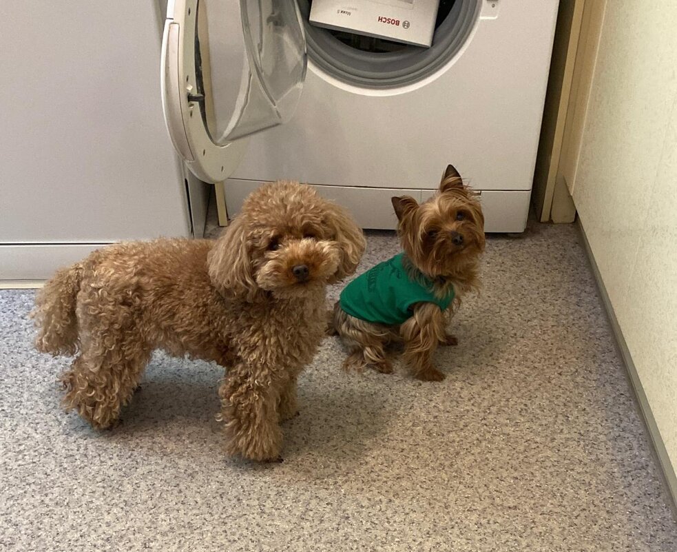 Две подружки - Татьяна Р 